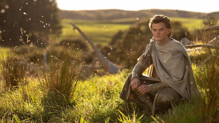 Robert Aramayo as Elrond crouches in a field in a scene from The Lord of the Rings: The Rings of Power.