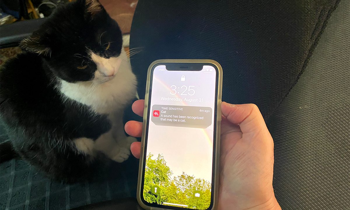 how to use your iphones sound recognition feature feat image