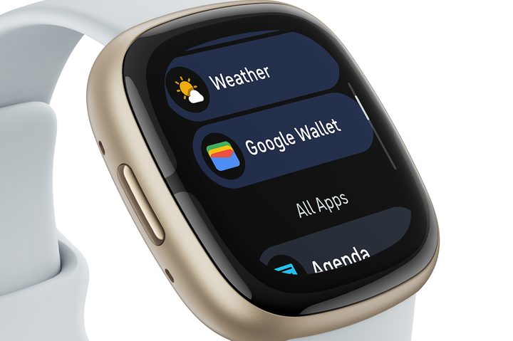 The Google Wallet app on the Fitbit Sense 2.