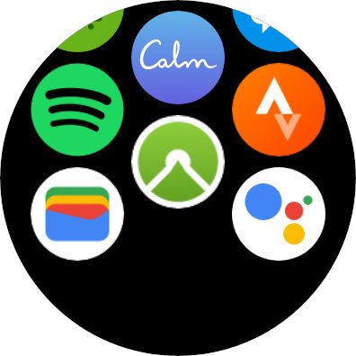 The app list on a Samsung Galaxy Watch.