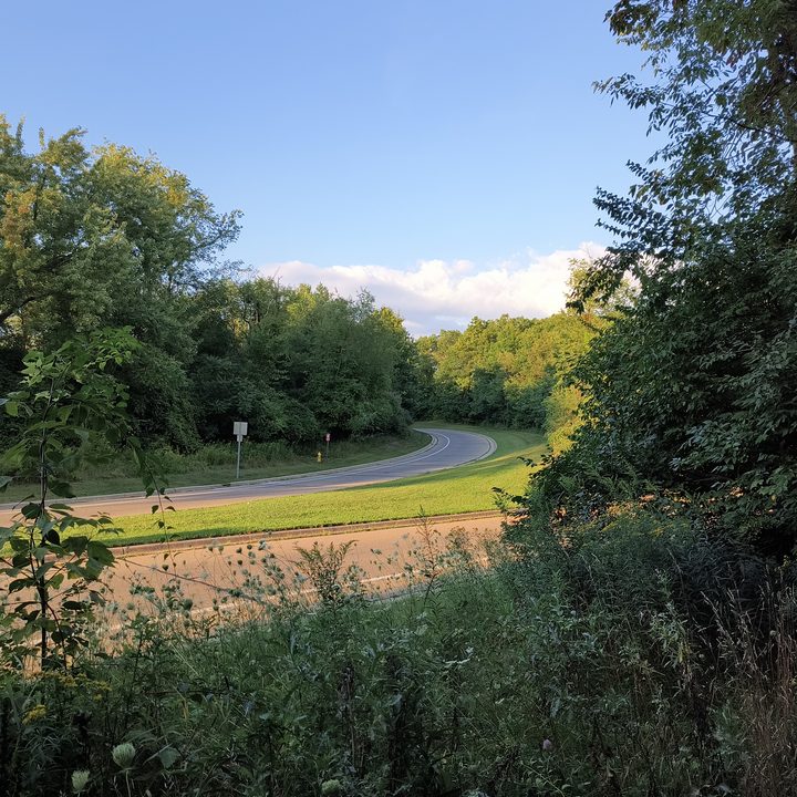 Camera sample of a road winding through trees from the Motorola Edge (2022).