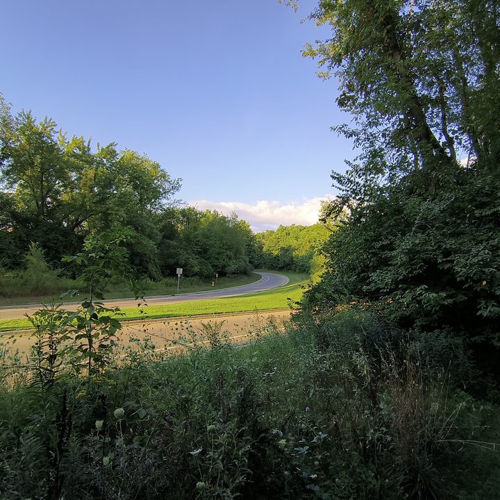 Camera sample of a road winding through trees from the Motorola Edge (2022).
