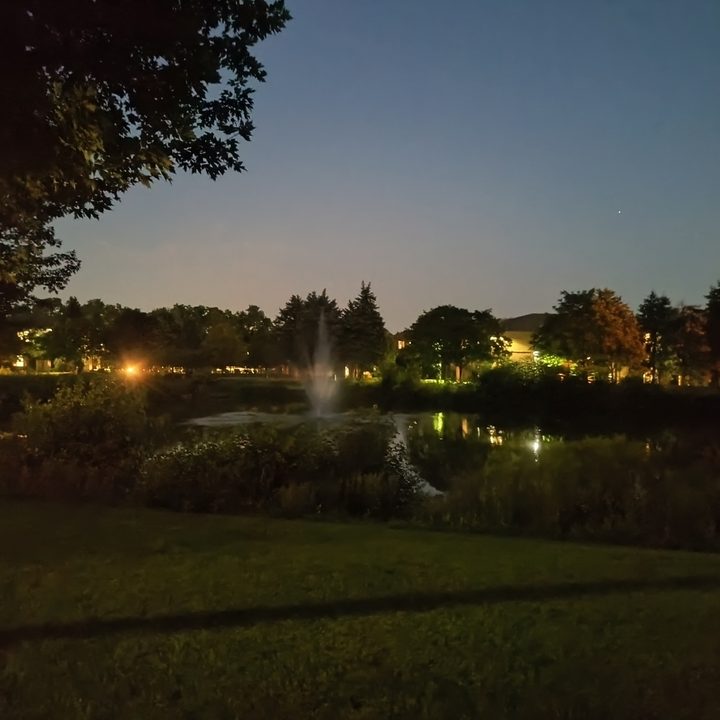 Camera sample from the Motorola Edge (2022).