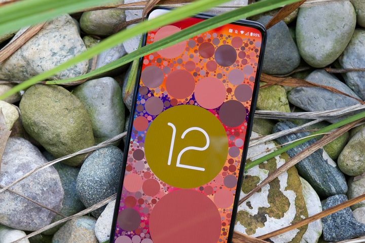 Android 12 logo on the Motorola Edge (2022).