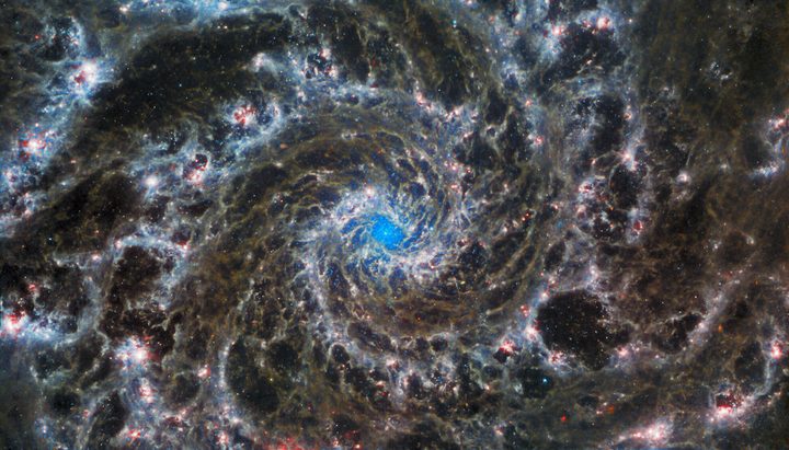 The Phantom Galaxy captured by the James Webb Space Telescope.