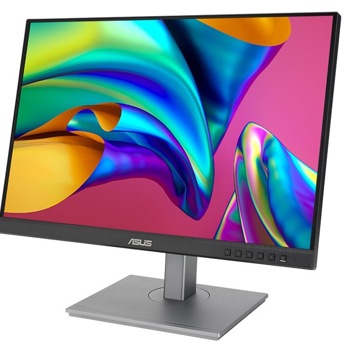 Asus ProArt Display PA248CNV.