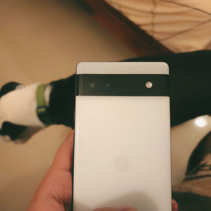Rear panel of the Pixel 6a.