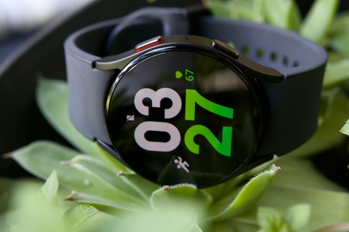 The Samsung Galaxy Watch 5 sitting on a succulent.