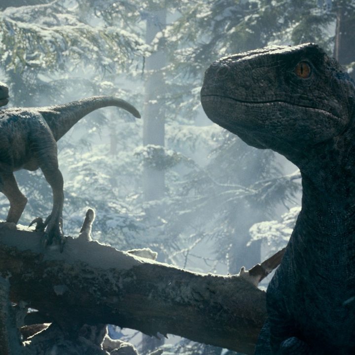 A pair of velociraptors hunt in the forest in a scene from Jurassic World Dominion.