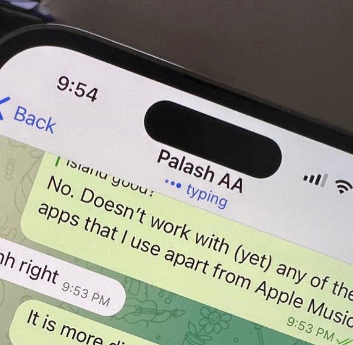 Dynamic Island in Telegram.