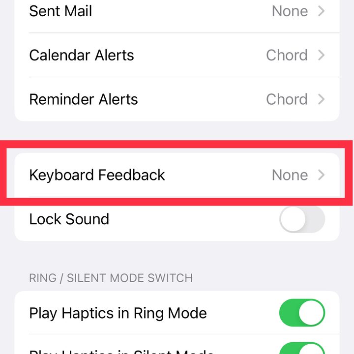 Scroll down to *Keyboad Feedback* and tap on it.
