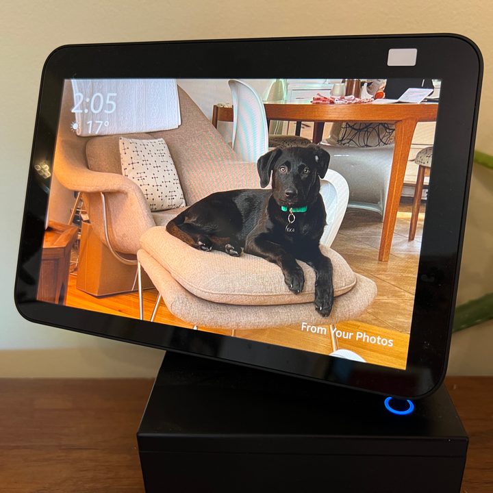 Photo of a puppy on Echo Show 8.