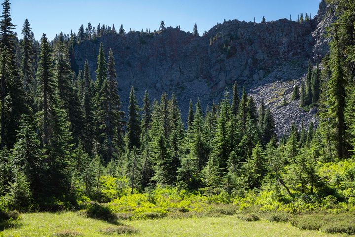 A rugged mountain ridge and green alpine meadows.