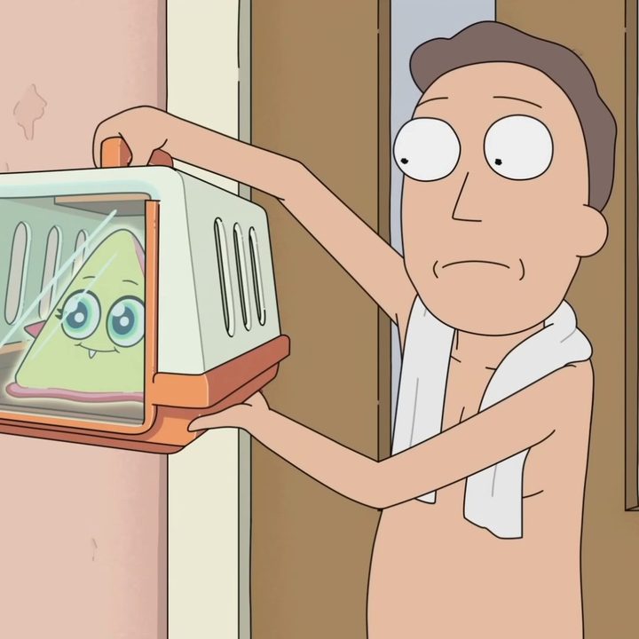 jerry-mr-frundles-rick-and-morty