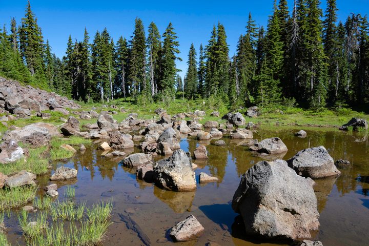 An alpine tarn filled with strange rocks.