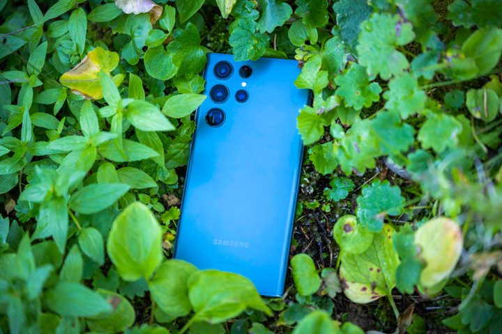 The Samsung Galaxy S22 Ultra in an alpine meadow.