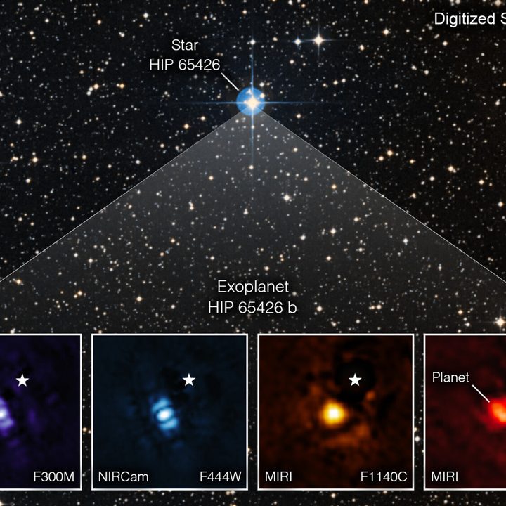This image shows the exoplanet HIP 65426 b in different bands of infrared light.