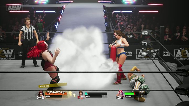 Characters fighting in ring in AEW: Fight Forever.