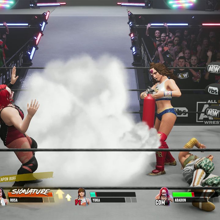 Characters fighting in ring in AEW: Fight Forever.