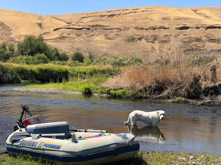 An electric trolling motor mounted on an inflatable boat.