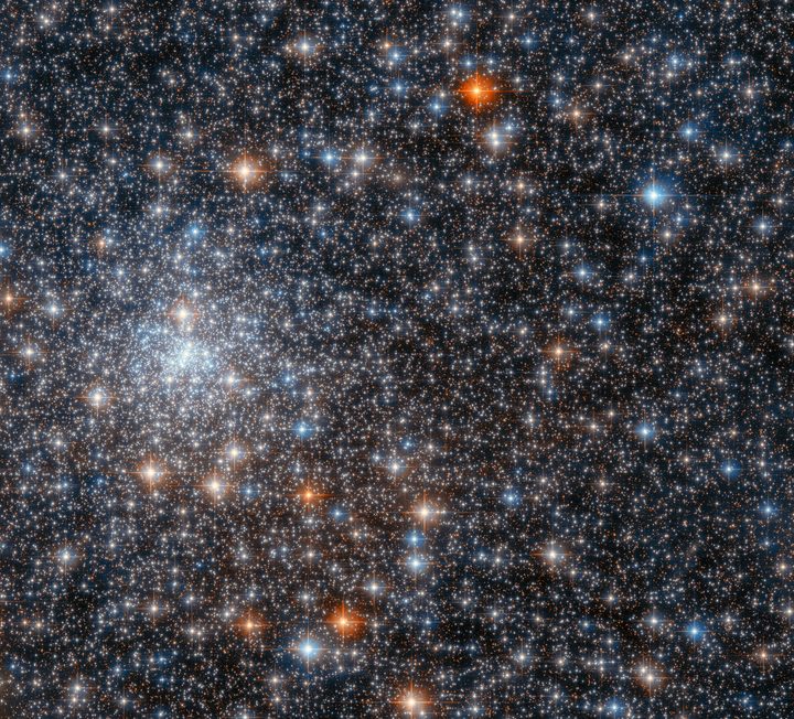 This glittering gathering of stars is the globular cluster NGC 6558, and it was captured by the NASA/ESA Hubble Space Telescope’s Advanced Camera for Surveys. NGC 6558 is closer to the center of the Milky Way than Earth is, and lies about 23,000 light-years away in the constellation Sagittarius.