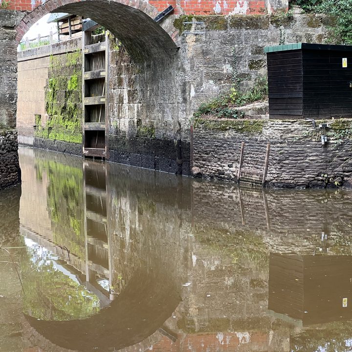 3x zoom photo taken with the iPhone 13 Pro.