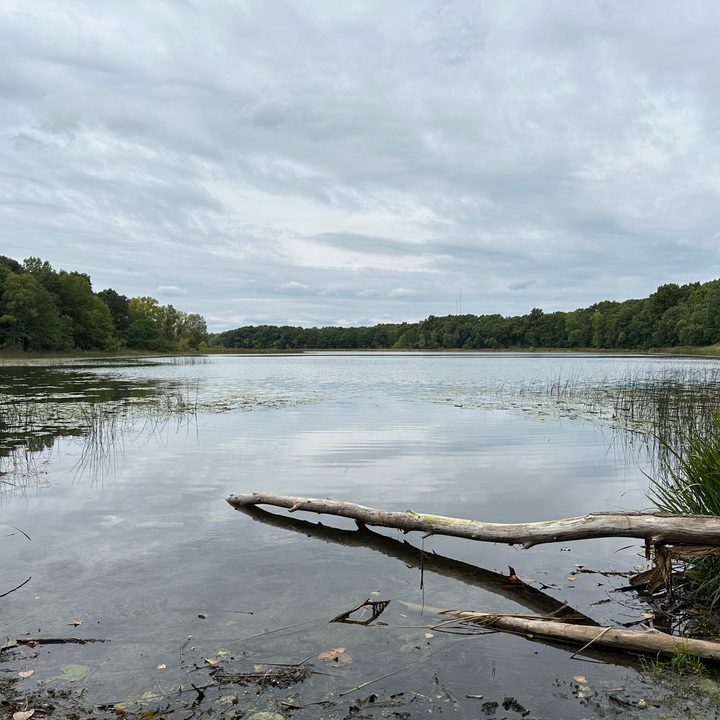 A photo of a lake, taken by the iPhone 14 Pro.