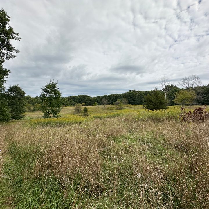 A photo of an open field, taken with the iPhone 14 Pro.