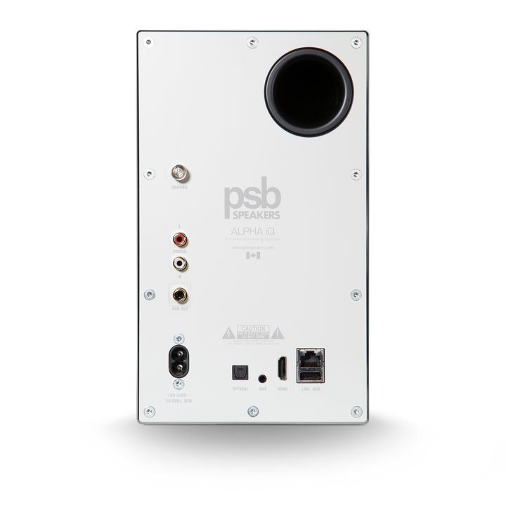 The back of the PSB Alpha iQ speakers.