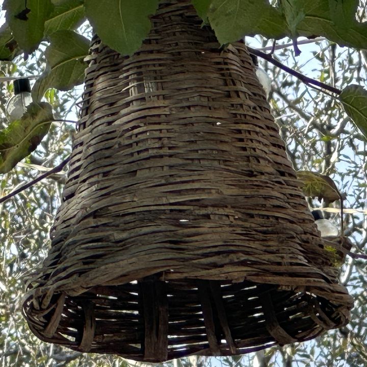 10x zoom shot captured by iPhone 14 Pro.