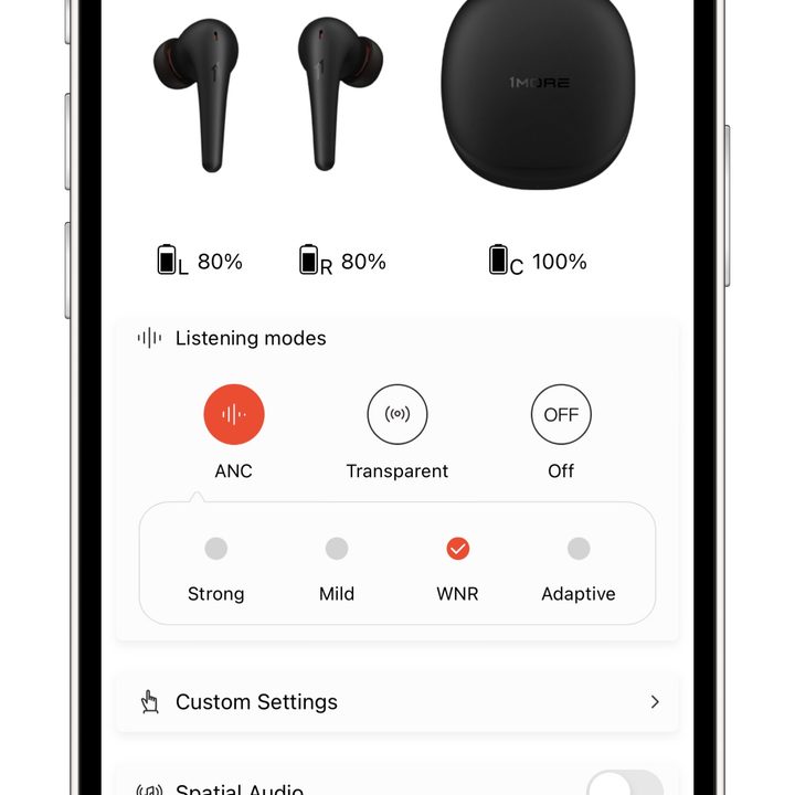 1More Music app.