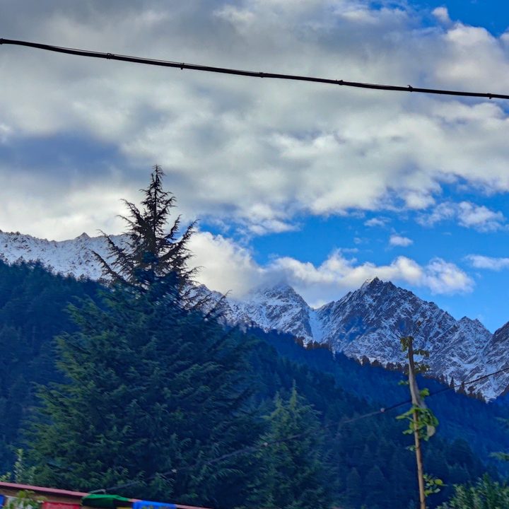 3.3x optical zoom shot clicked by OnePlus 10 Pro.
