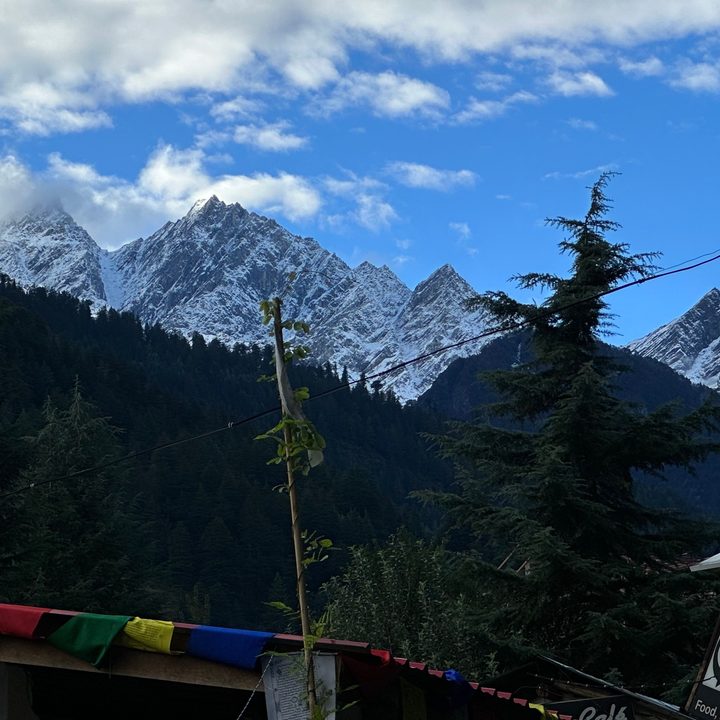 3x optical zoom shot clicked by iPhone 14 Pro.