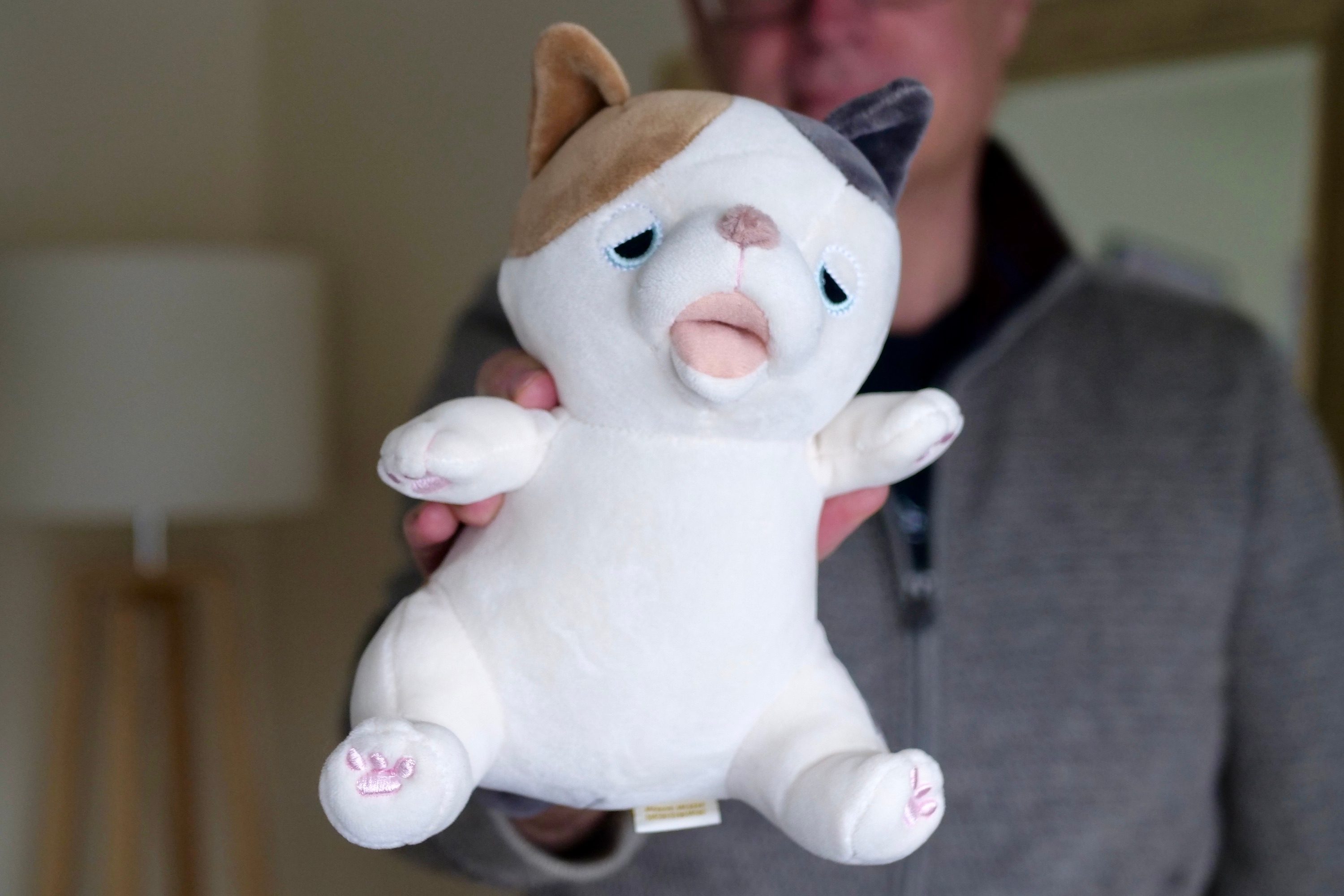 Amagami Ham Ham's Yuzu the cat, held in someone's hand.