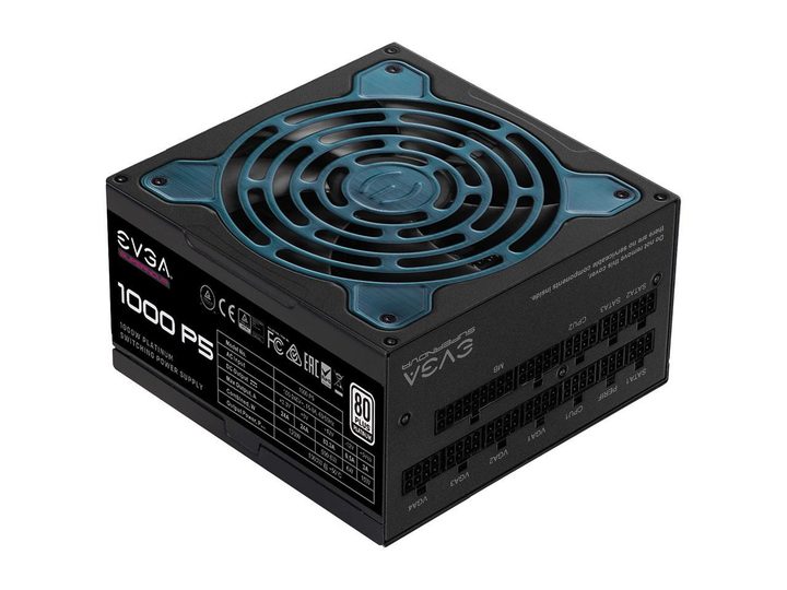 The EVGA 1000 P5.