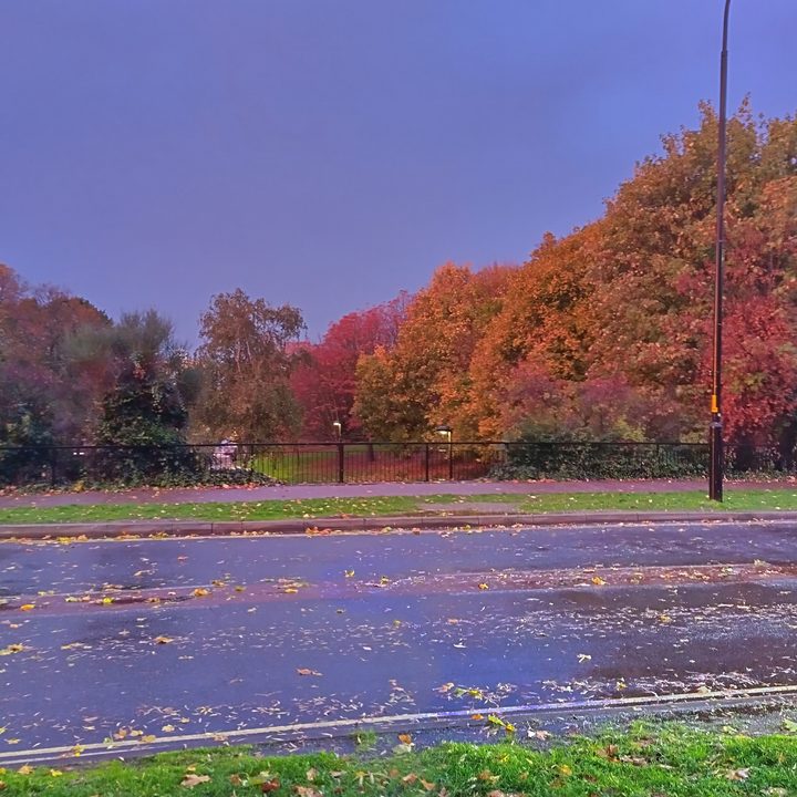Image samples from the Nokia X30 5G.