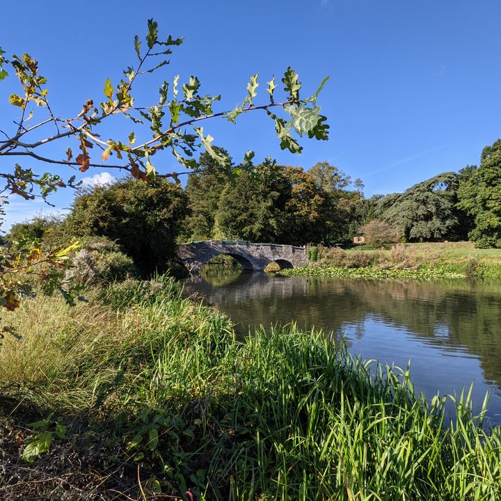 Wide-angle photo taken with the Pixel 5.