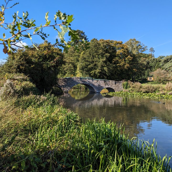 Main camera photo taken with the Pixel 7.