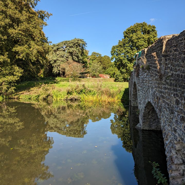 Main camera photo taken with the Google Pixel 7.