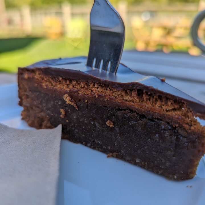 Main camera photo taken with the Google Pixel 7.