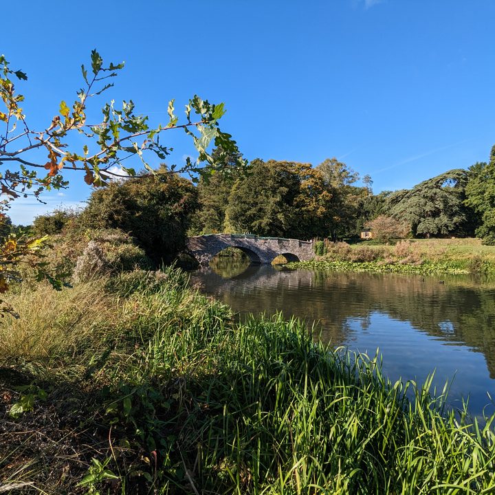 Wide-angle photo taken with the Pixel 7.