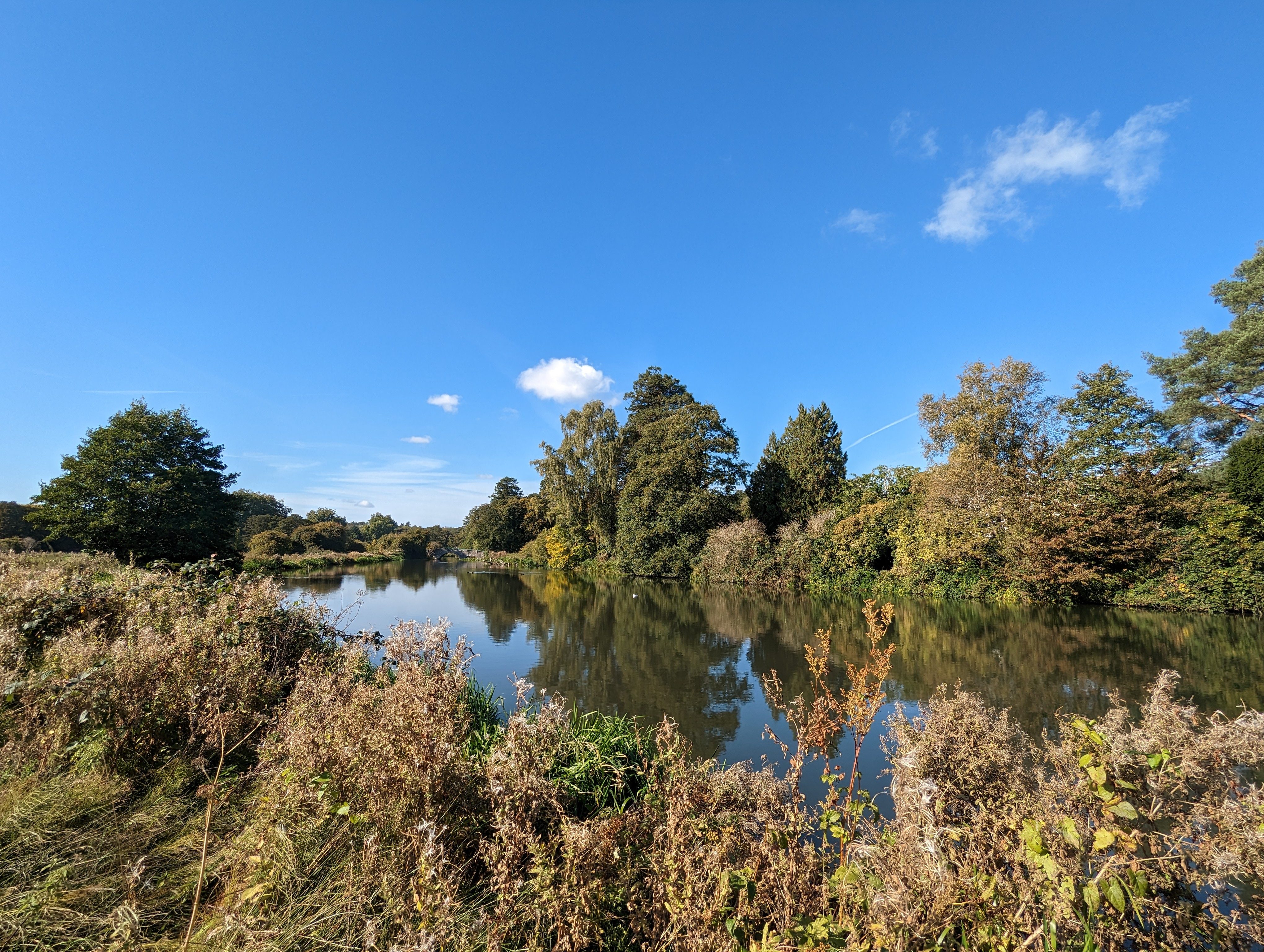 Wide-angle photo taken with the Google Pixel 7.