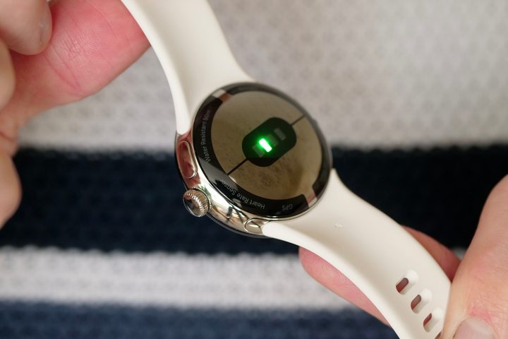 The back of the Google Pixel Watch.
