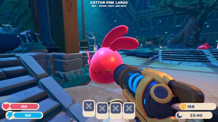 A player looking at a Largo Slime.