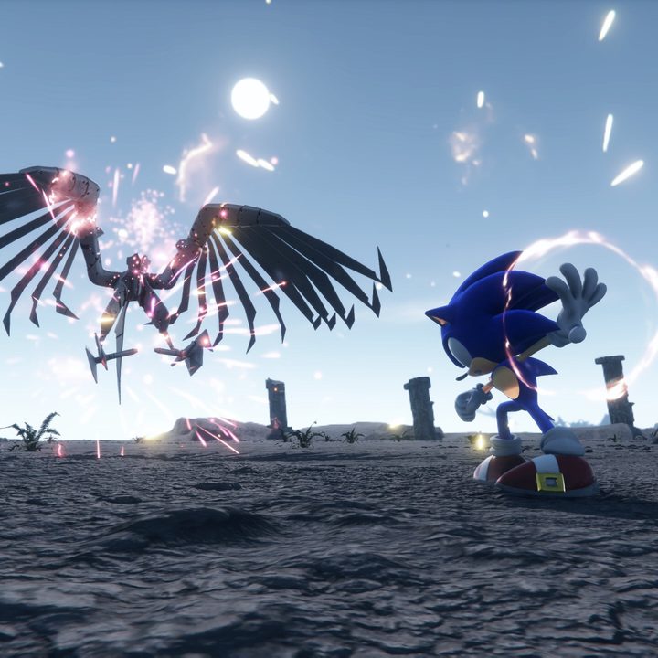 Sonic fights the skeletal Eagle.
