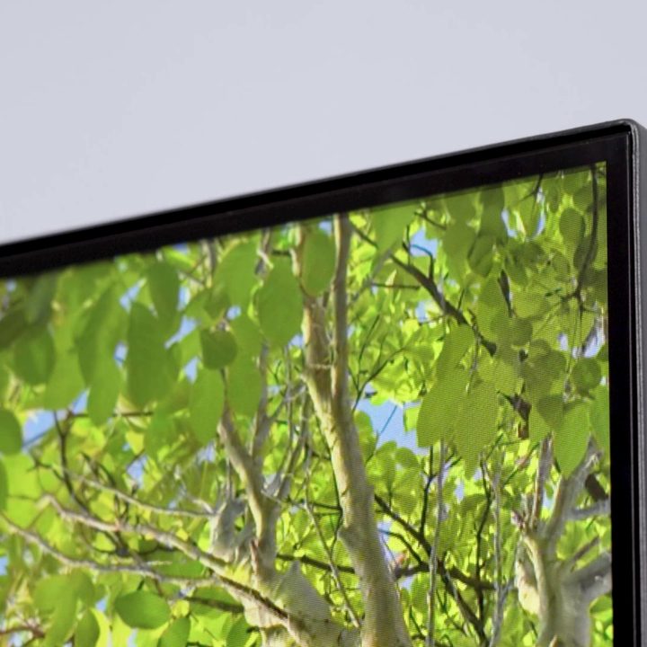 Close up of the top corner bezel of Vizio M-Series Quantum X TV with leafy green trees on the display.