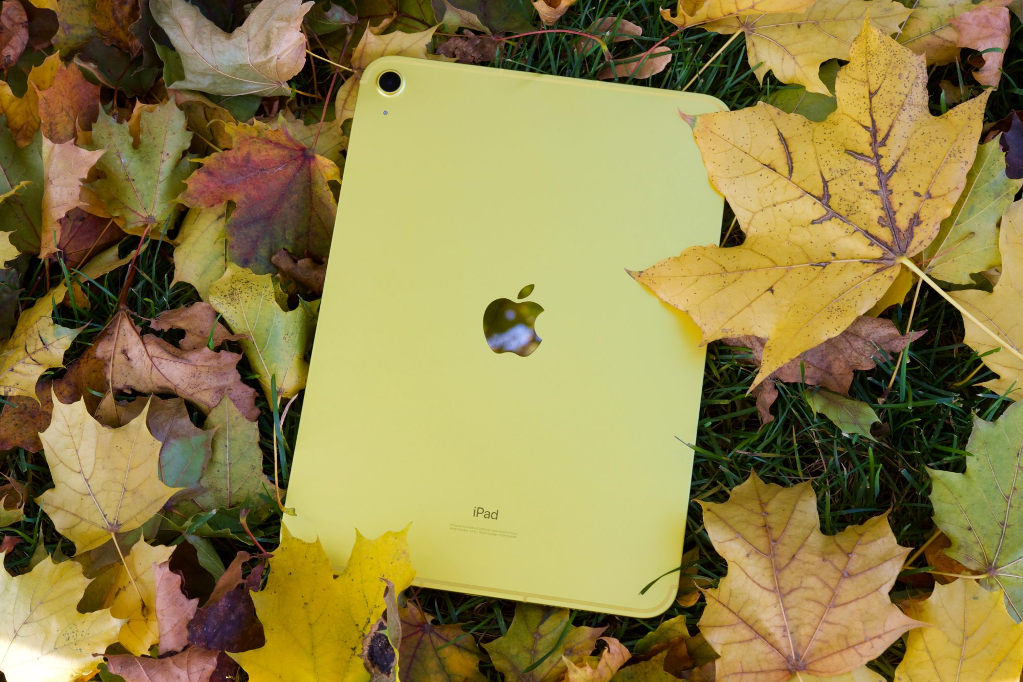 Apple iPad (10th Gen, 2022) review: easy to love, tricky to