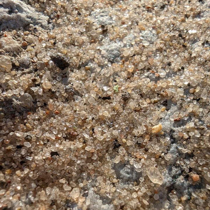 Macro photo of sand, taken with the Pixel 7 Pro.
