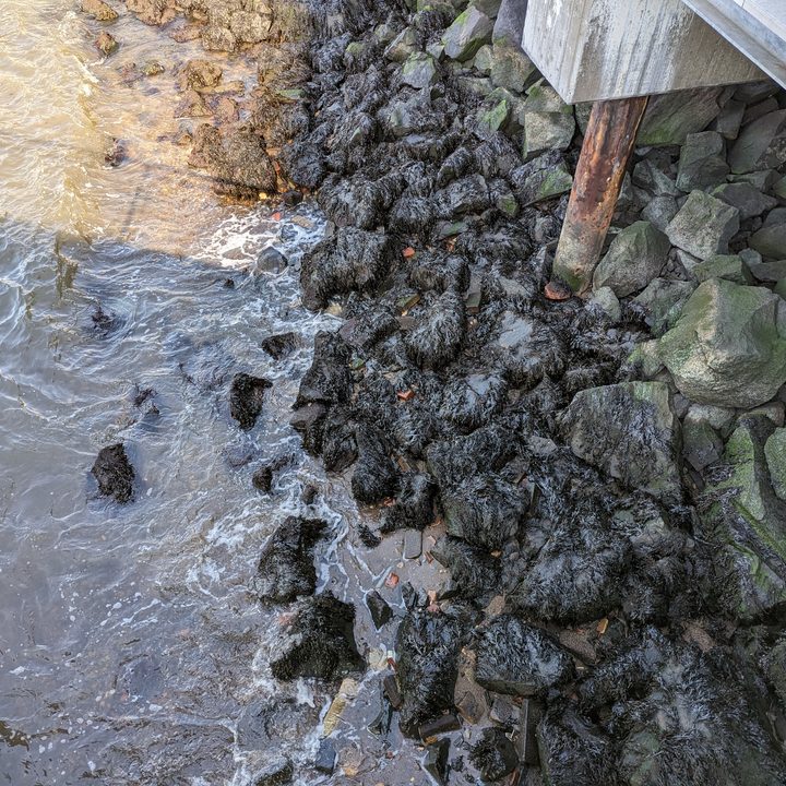 Photo of rocks under a bridge, taken with the Pixel 7 Pro.