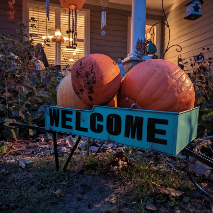 Photo of pumpkins in a cart, taken with the Pixel 7 Pro.